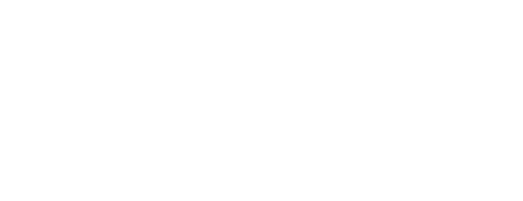 Vertta Desenvolvimento Humano