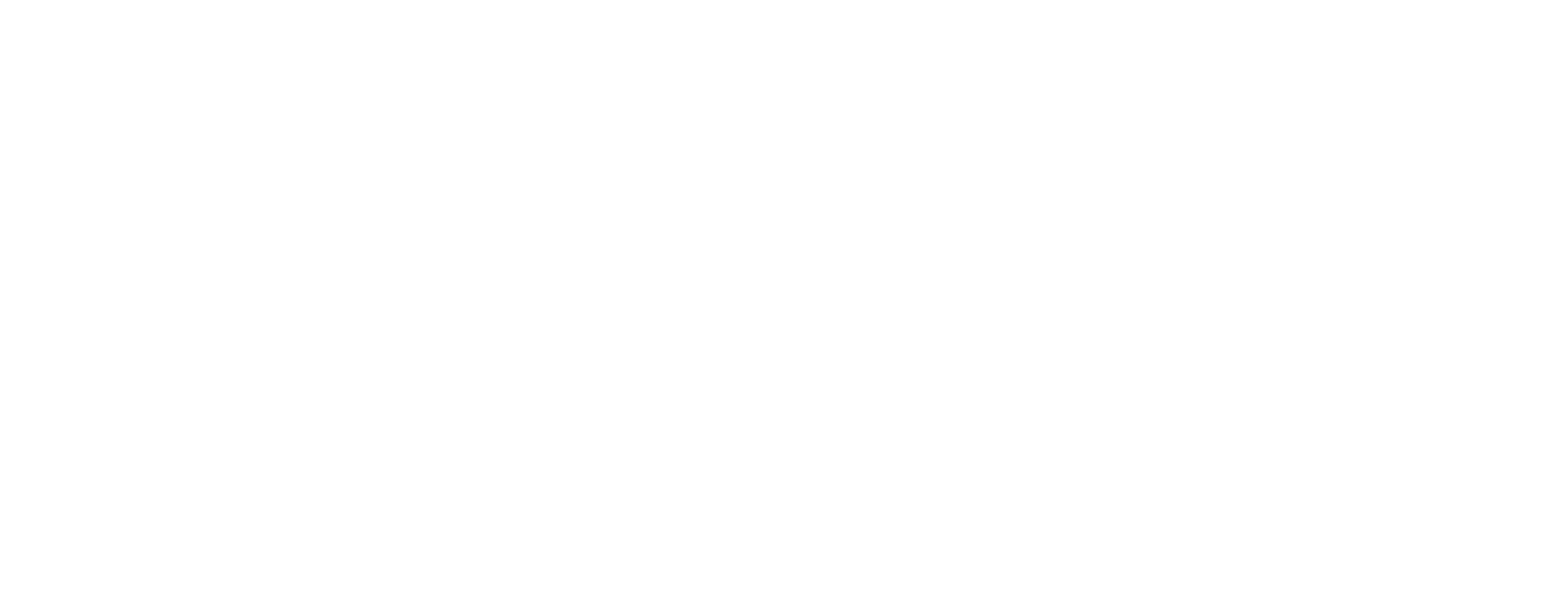 Vertta Desenvolvimento Humano